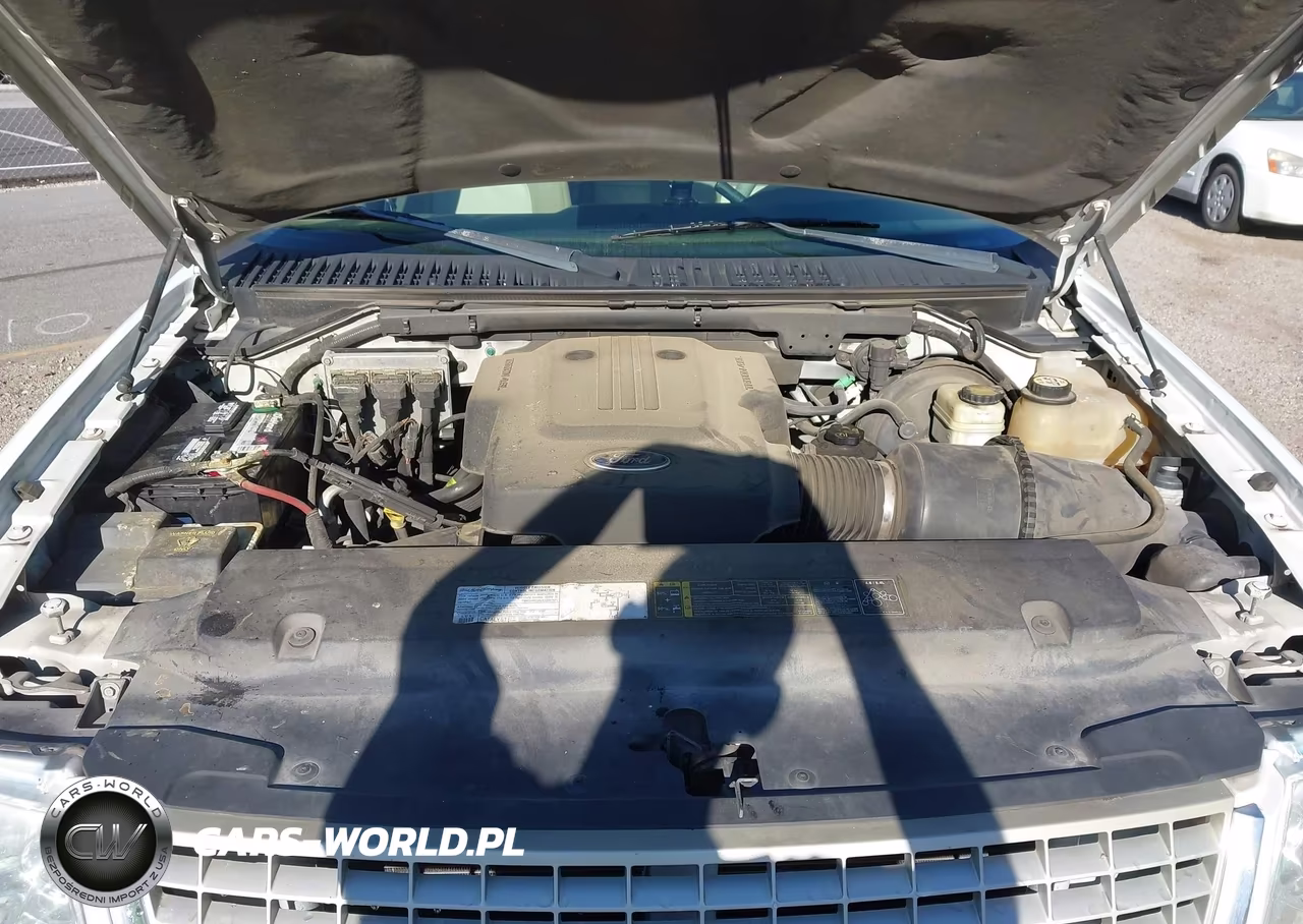 2004 Ford Expedition Eddie Bauer VIN:1FMRU17W44LB91577 - 10