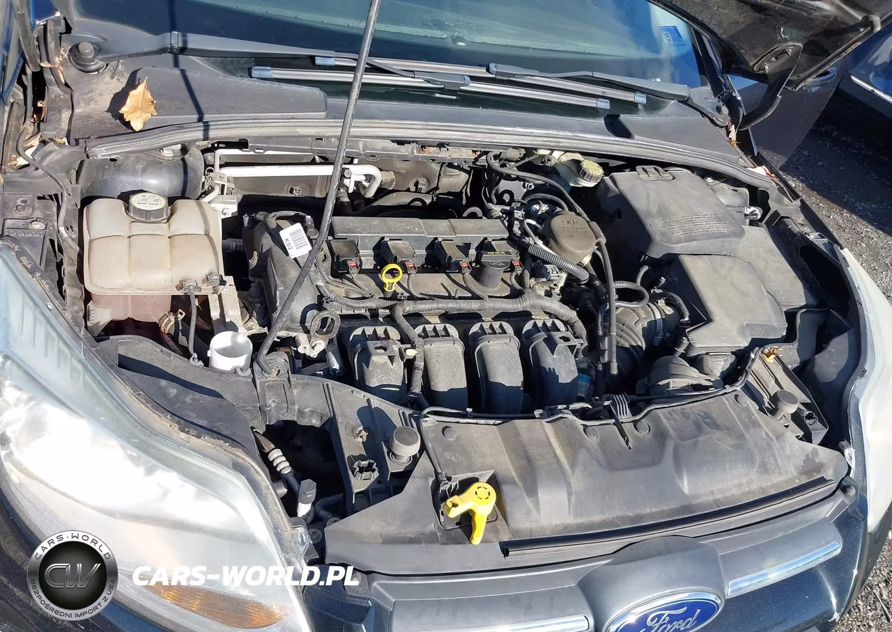 2013 Ford Focus Se VIN:1FADP3F28DL338098 - 10