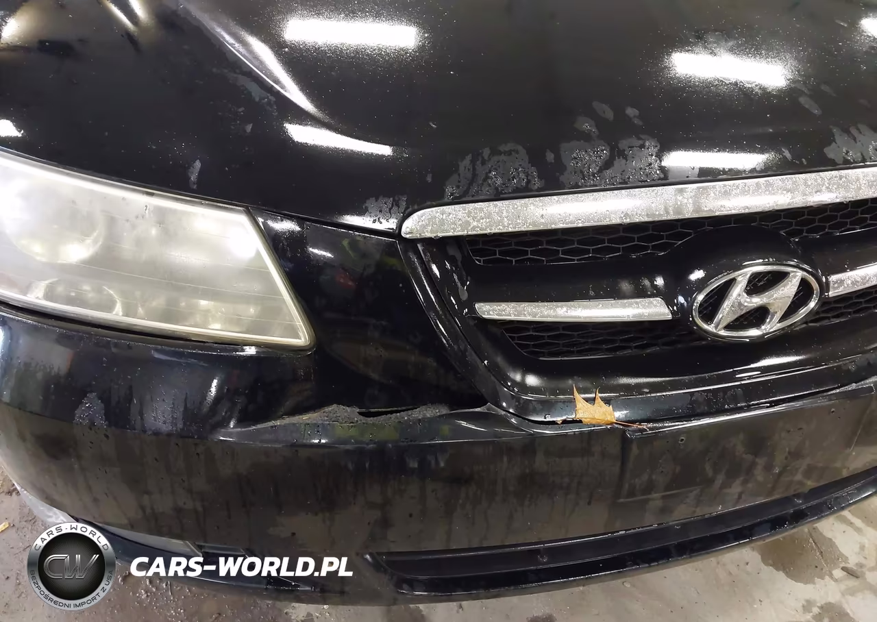 2008 Hyundai Sonata Limited-Se VIN:5NPEU46C68H348161 - 6