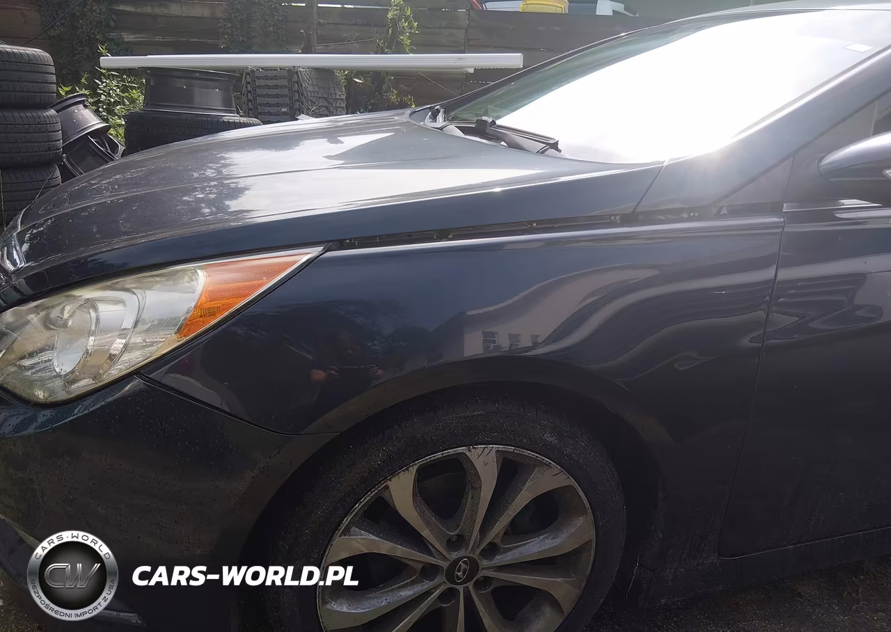 2014 Hyundai Sonata Se VIN:5NPEC4AC2EH826341 - 12