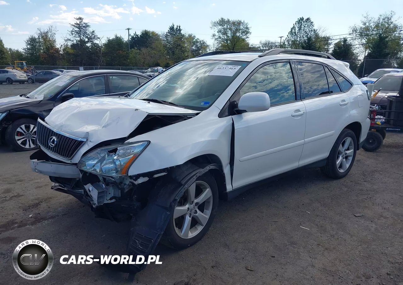 2004 Lexus Rx 330 VIN:JTJHA31U440031385 - 2