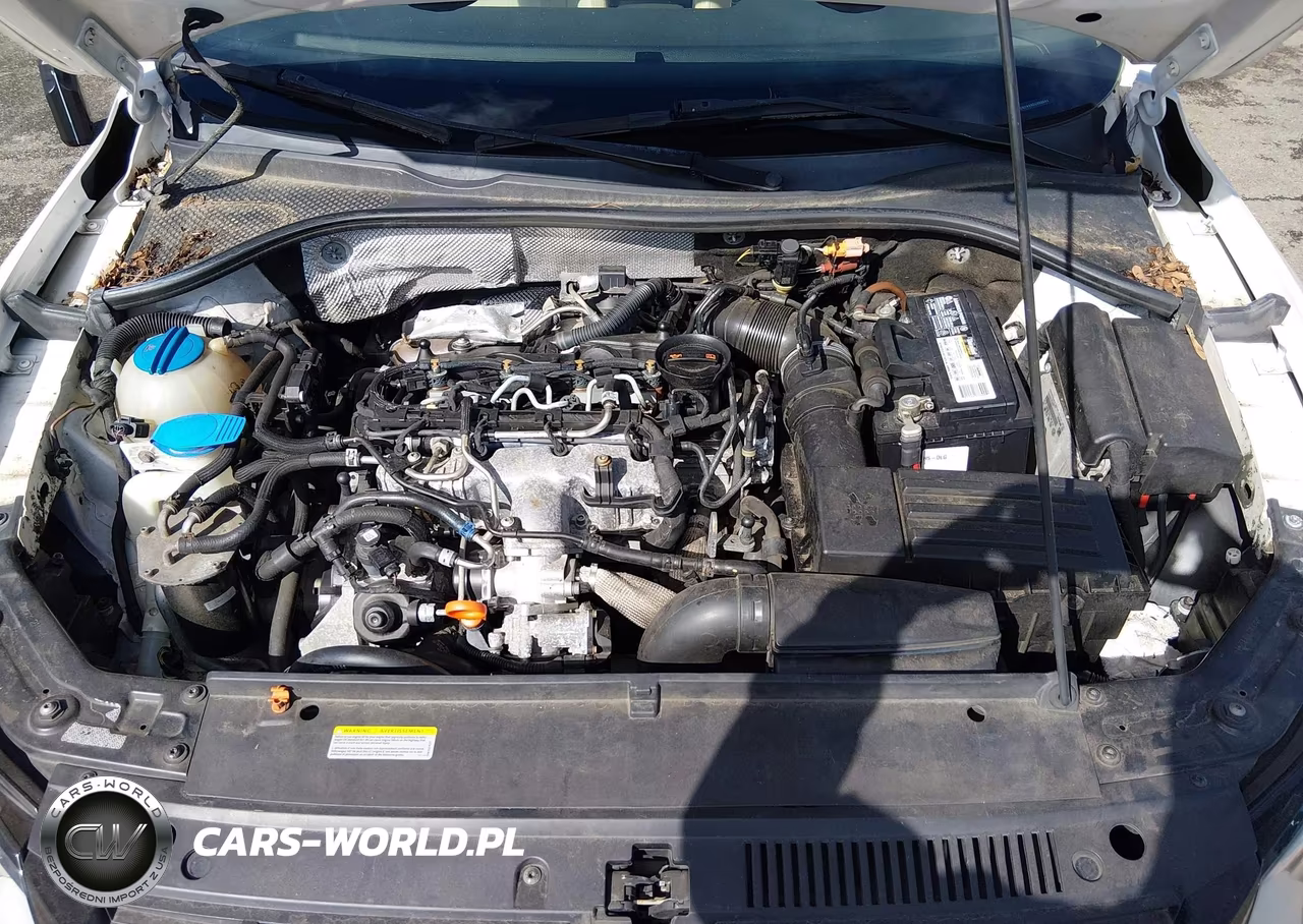 2013 Volkswagen Passat Sel VIN:1VWCN7A3XDC059543 - 10