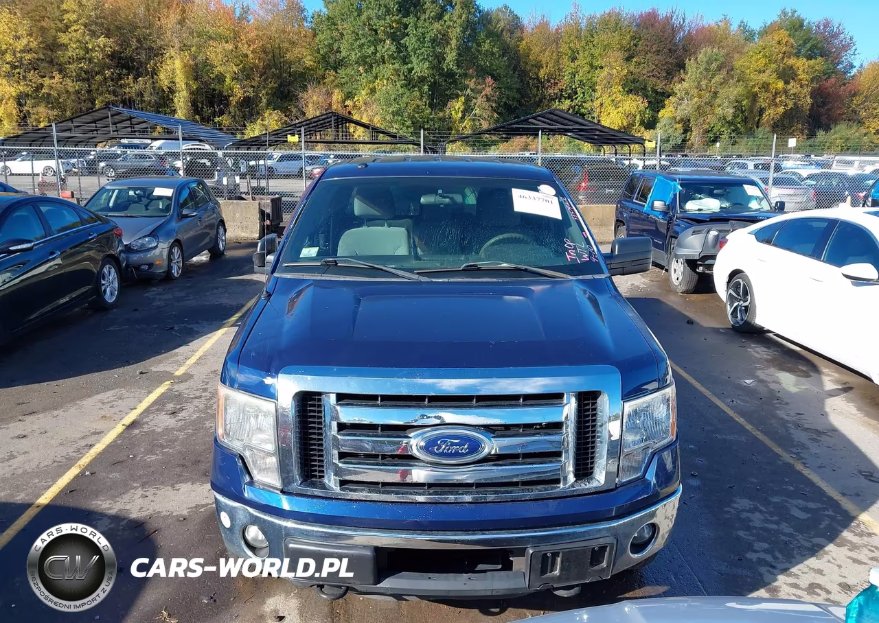 2011 Ford F-150 Xlt VIN:1FTFX1ET8BFC82208 - 12
