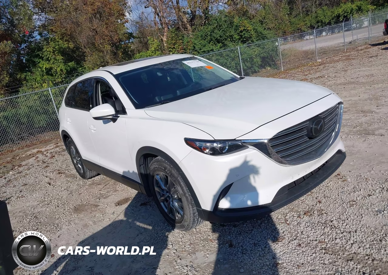2019 Mazda Cx-9 Touring