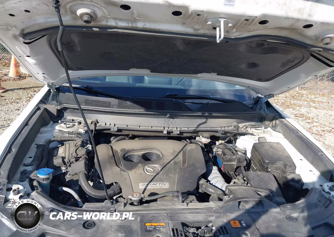 2019 Mazda Cx-9 Touring VIN:JM3TCBCY4K0315394 - 10