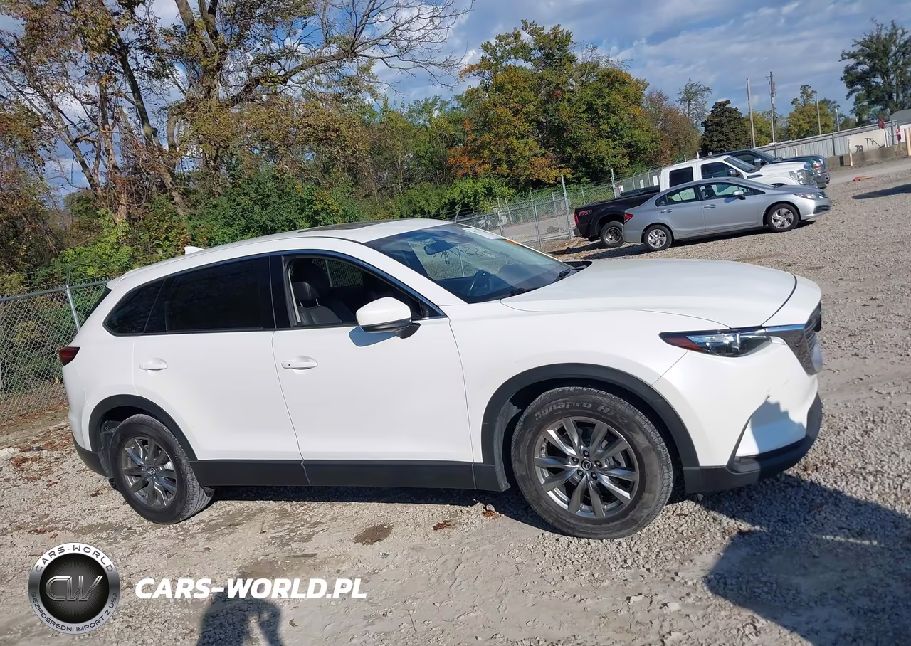2019 Mazda Cx-9 Touring VIN:JM3TCBCY4K0315394 - 14