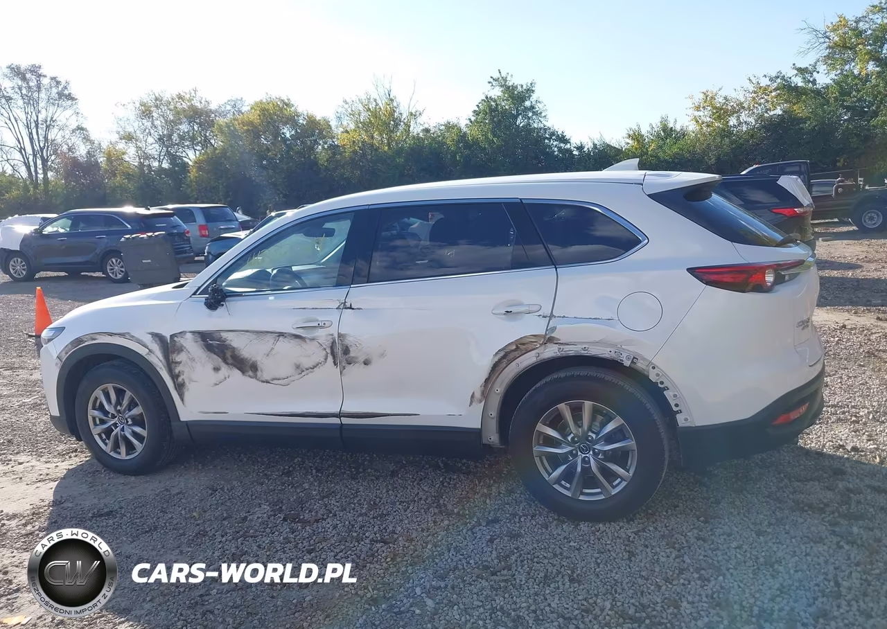 2019 Mazda Cx-9 Touring VIN:JM3TCBCY4K0315394 - 15