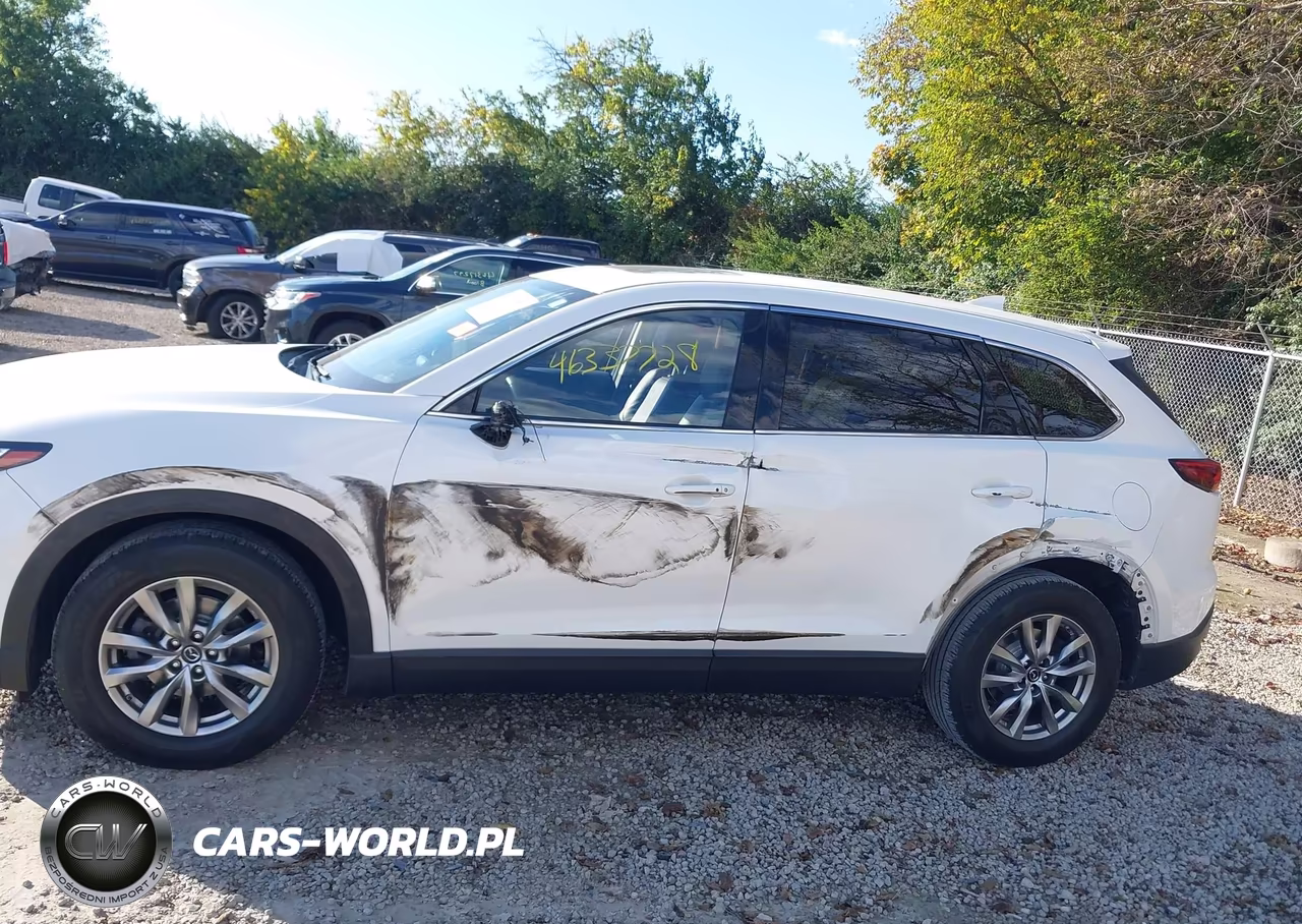 2019 Mazda Cx-9 Touring VIN:JM3TCBCY4K0315394 - 18