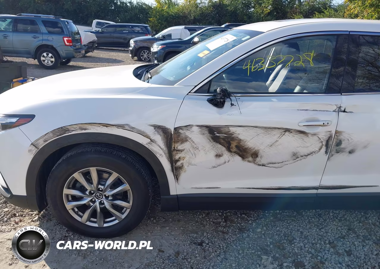 2019 Mazda Cx-9 Touring VIN:JM3TCBCY4K0315394 - 19