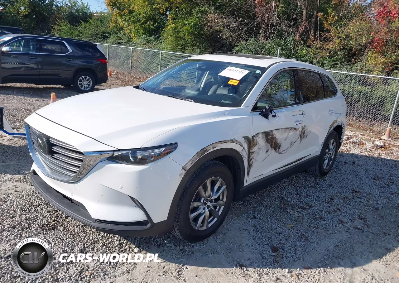 2019 Mazda Cx-9 Touring VIN:JM3TCBCY4K0315394 - 2