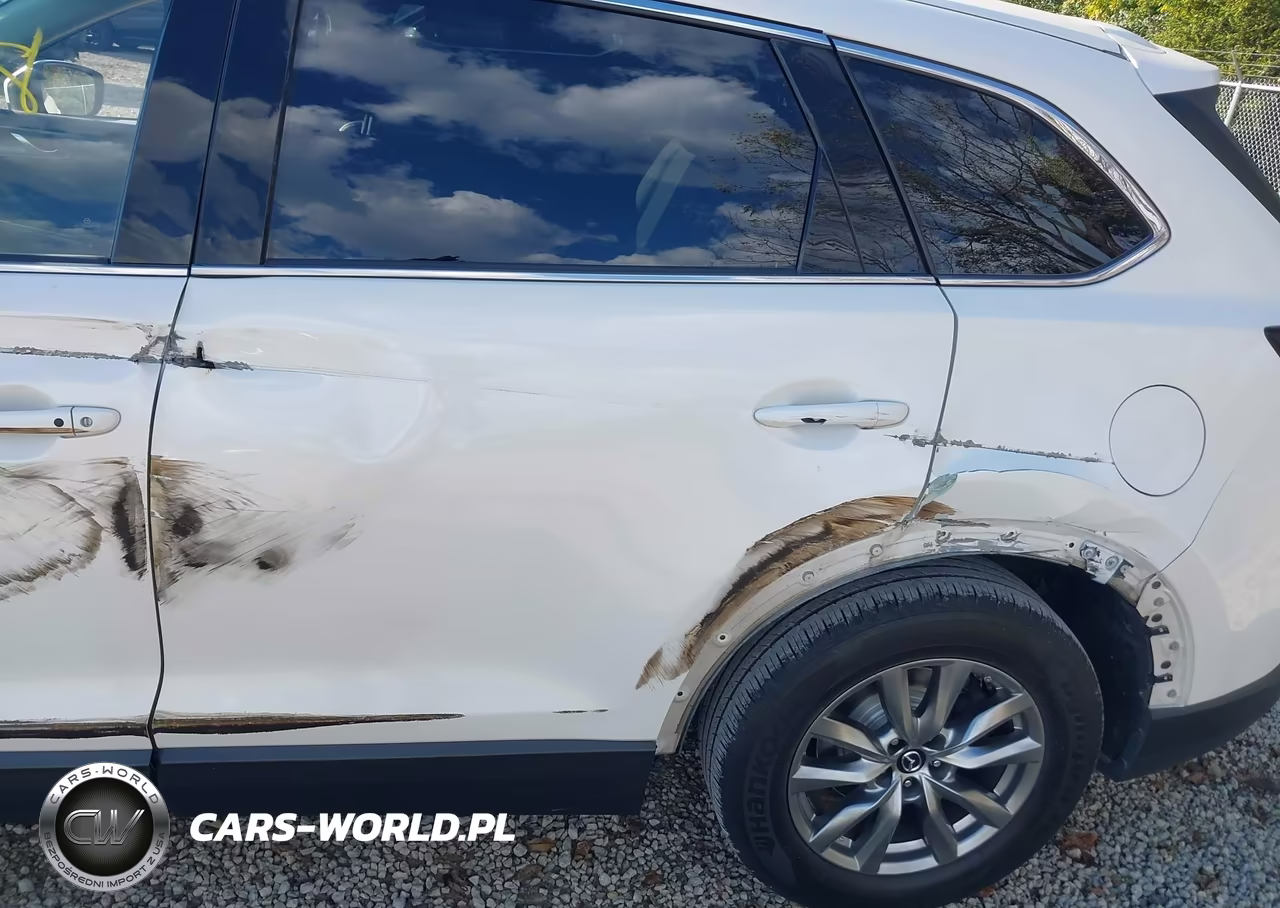2019 Mazda Cx-9 Touring VIN:JM3TCBCY4K0315394 - 20