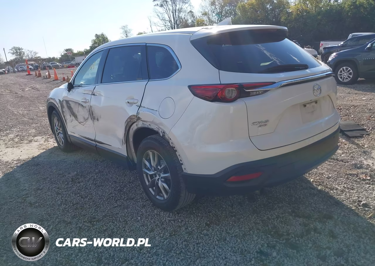 2019 Mazda Cx-9 Touring VIN:JM3TCBCY4K0315394 - 3