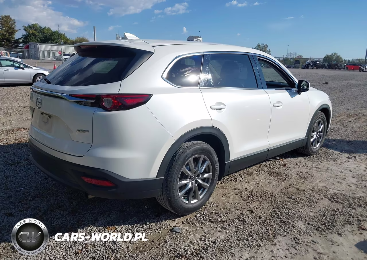 2019 Mazda Cx-9 Touring VIN:JM3TCBCY4K0315394 - 4