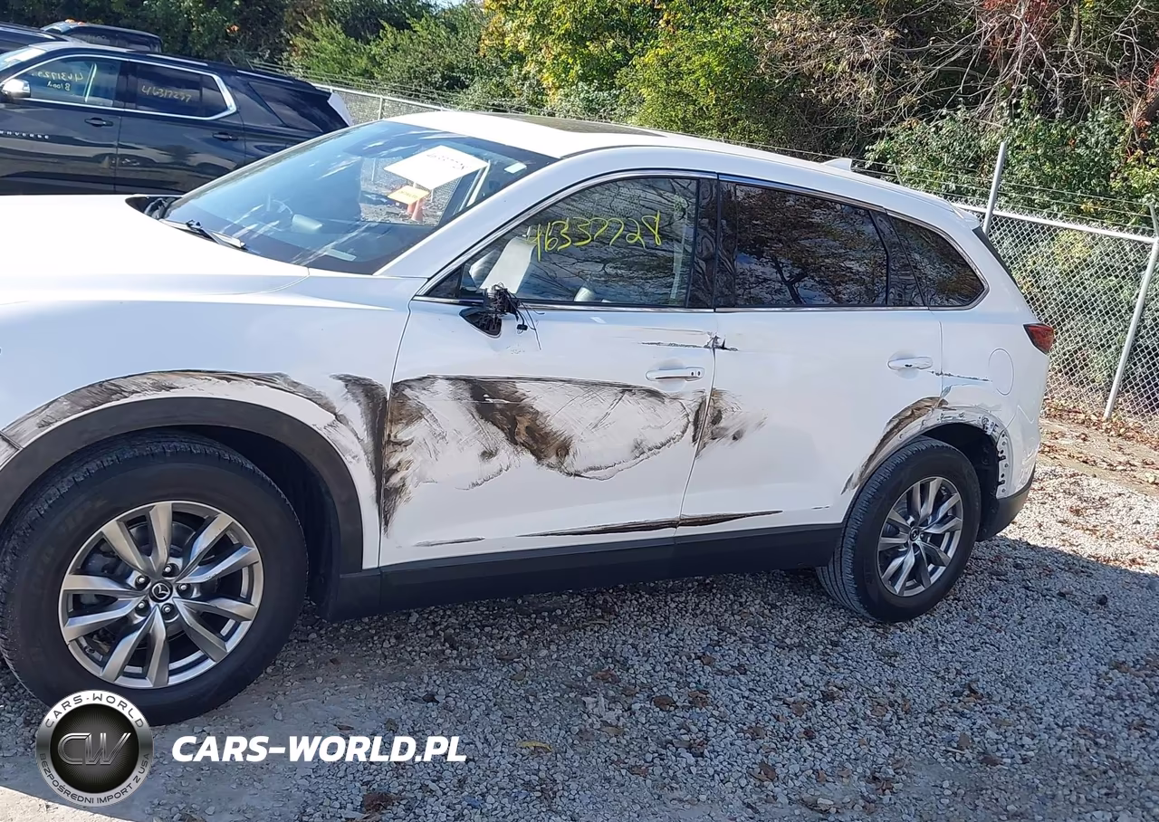 2019 Mazda Cx-9 Touring VIN:JM3TCBCY4K0315394 - 6