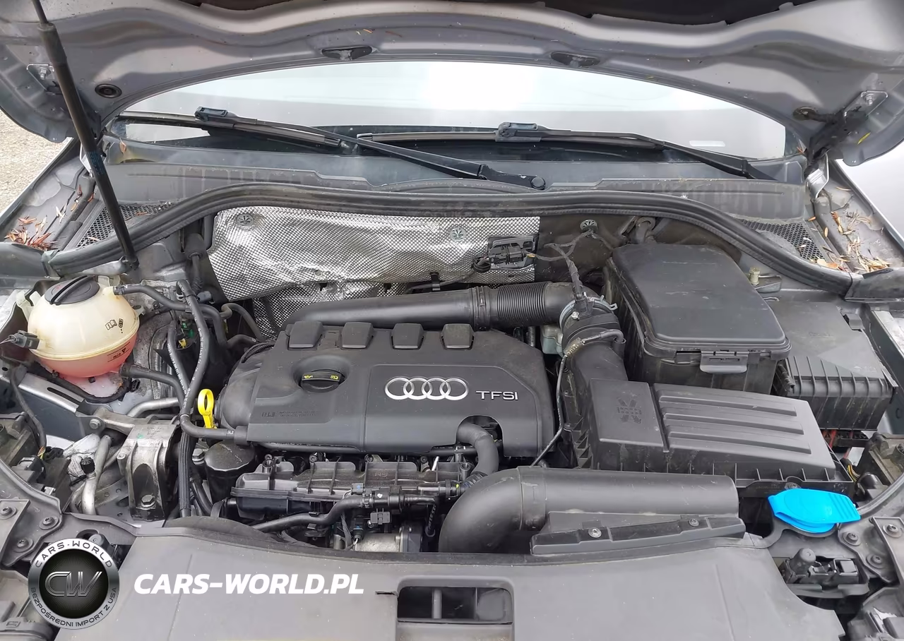 2016 Audi Q3 2.0T Premium Plus VIN:WA1GFCFS6GR021040 - 10