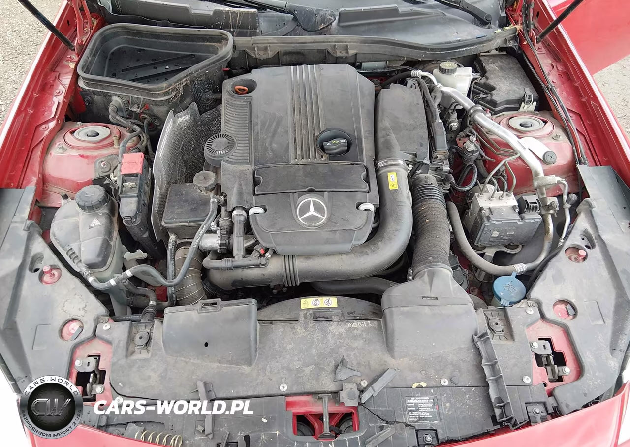 2013 Mercedes-Benz Slk 250 VIN:WDDPK4HA4DF055329 - 10