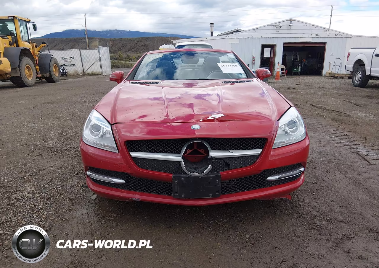 2013 Mercedes-Benz Slk 250 VIN:WDDPK4HA4DF055329 - 12