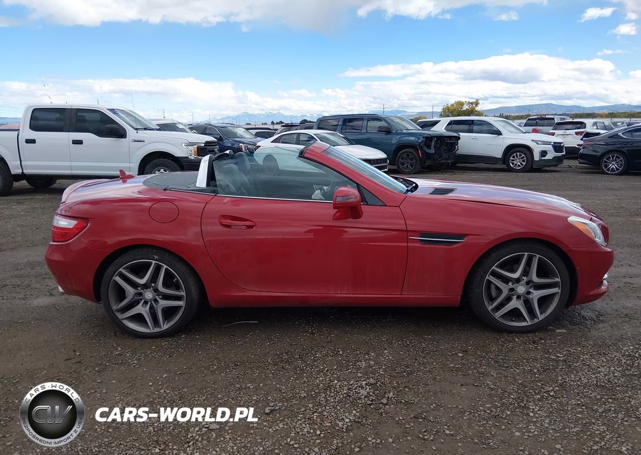 2013 Mercedes-Benz Slk 250 VIN:WDDPK4HA4DF055329 - 13