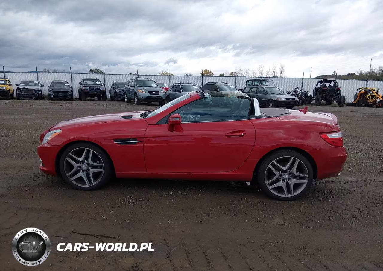 2013 Mercedes-Benz Slk 250 VIN:WDDPK4HA4DF055329 - 14