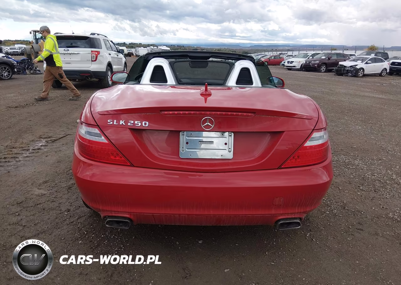 2013 Mercedes-Benz Slk 250 VIN:WDDPK4HA4DF055329 - 16