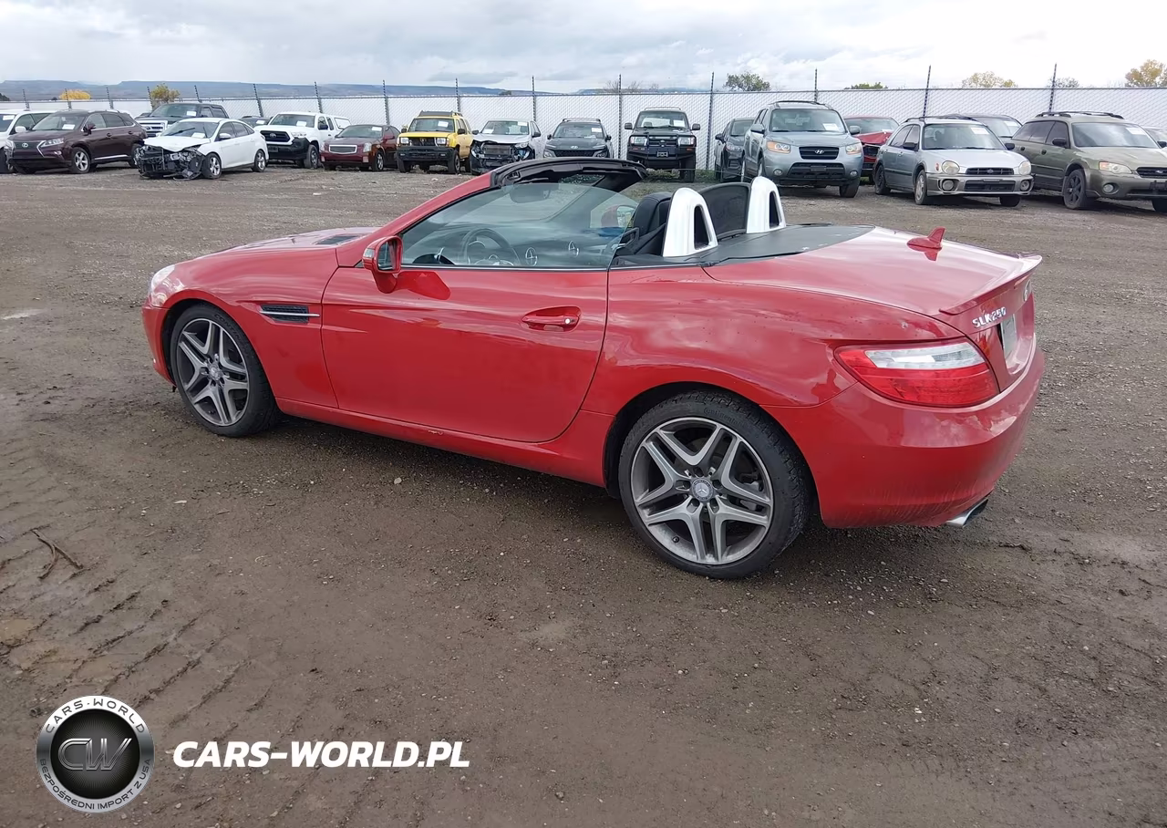 2013 Mercedes-Benz Slk 250 VIN:WDDPK4HA4DF055329 - 3