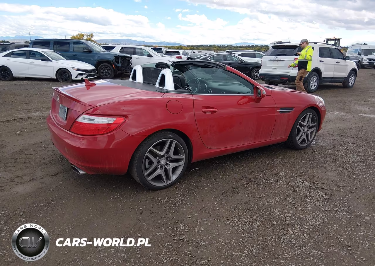 2013 Mercedes-Benz Slk 250 VIN:WDDPK4HA4DF055329 - 4