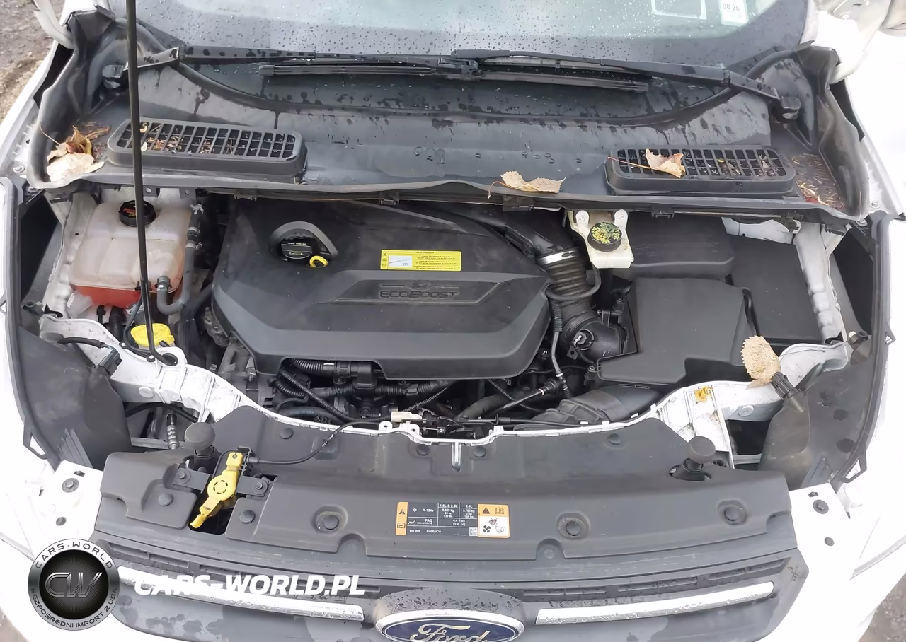 2014 Ford Escape Se VIN:1FMCU9GX8EUC06008 - 10