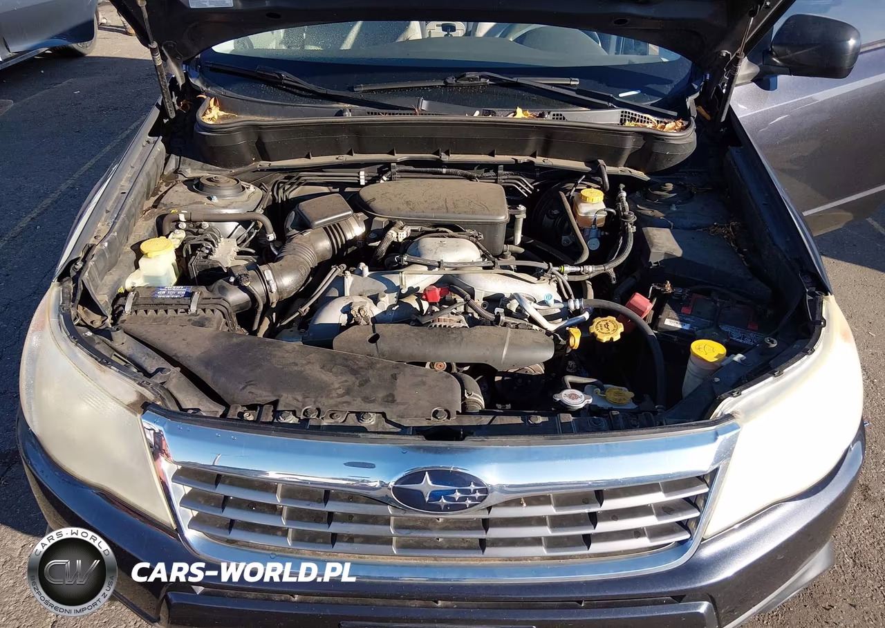 2010 Subaru Forester 2.5X VIN:JF2SH6AC0AH730363 - 10