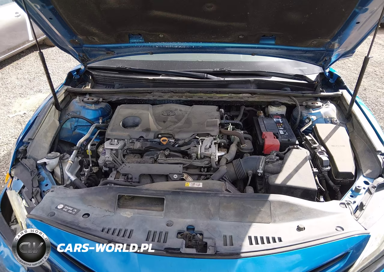 2019 Toyota Camry Xse VIN:4T1B61HK5KU252725 - 10