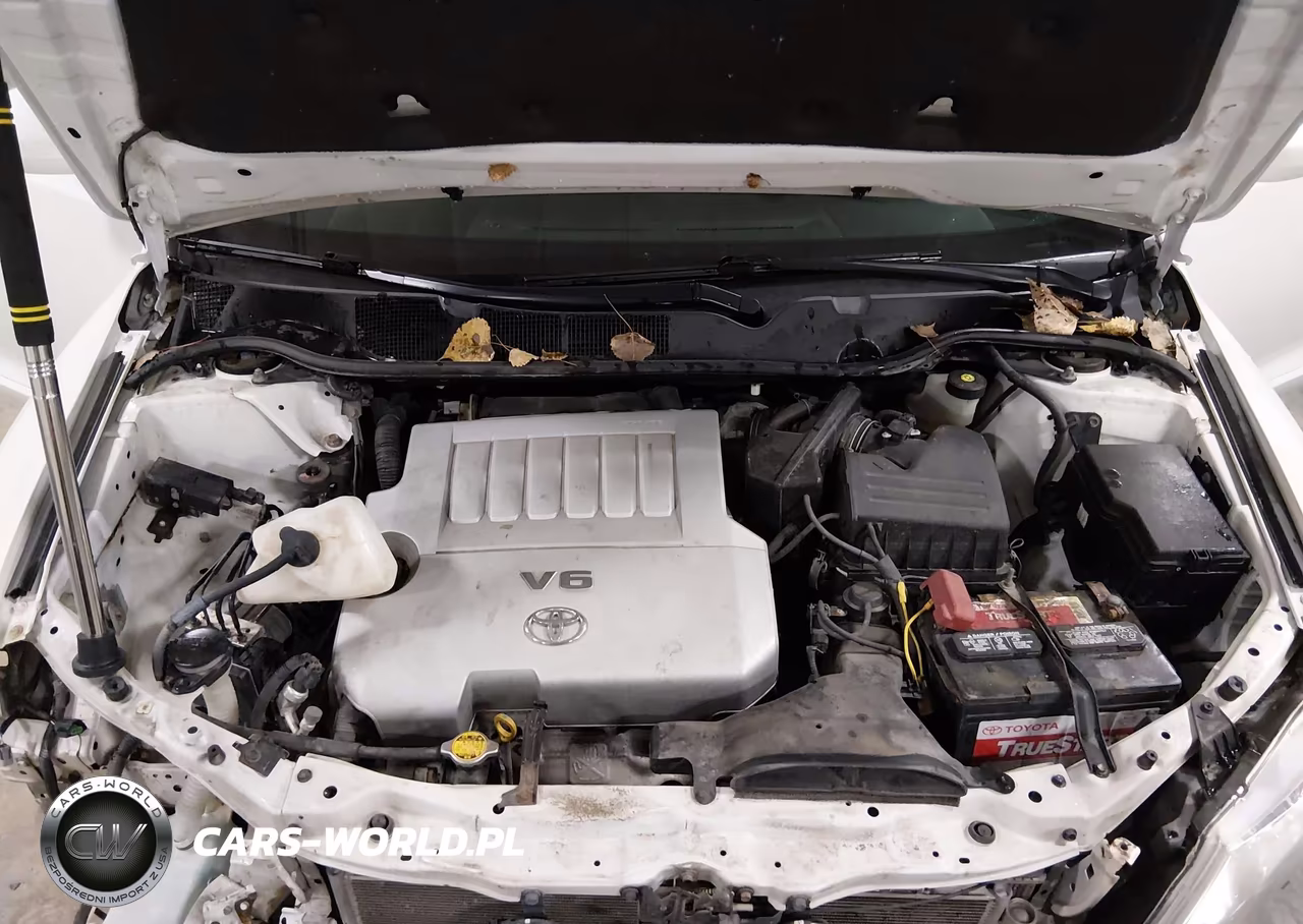 2010 Toyota Venza Base V6 VIN:4T3BK3BB8AU041914 - 10