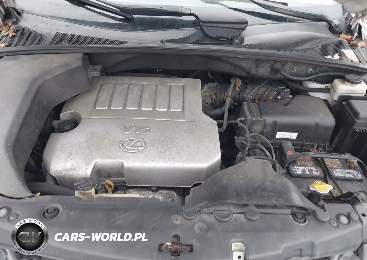 2008 Lexus Rx 350 VIN:2T2HK31U58C095099 - 10