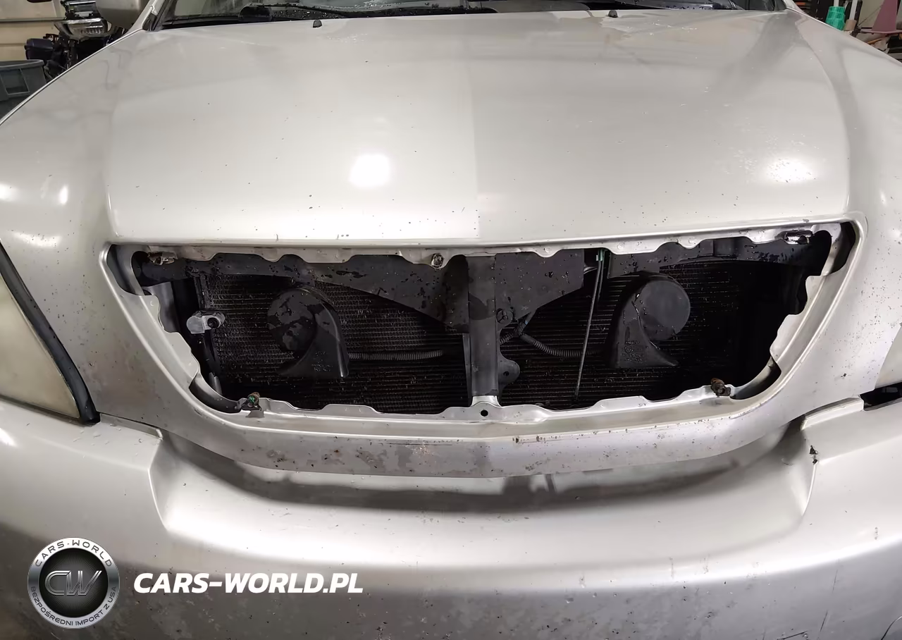 2007 Lexus Rx 350 VIN:JTJGK31U170005498 - 6