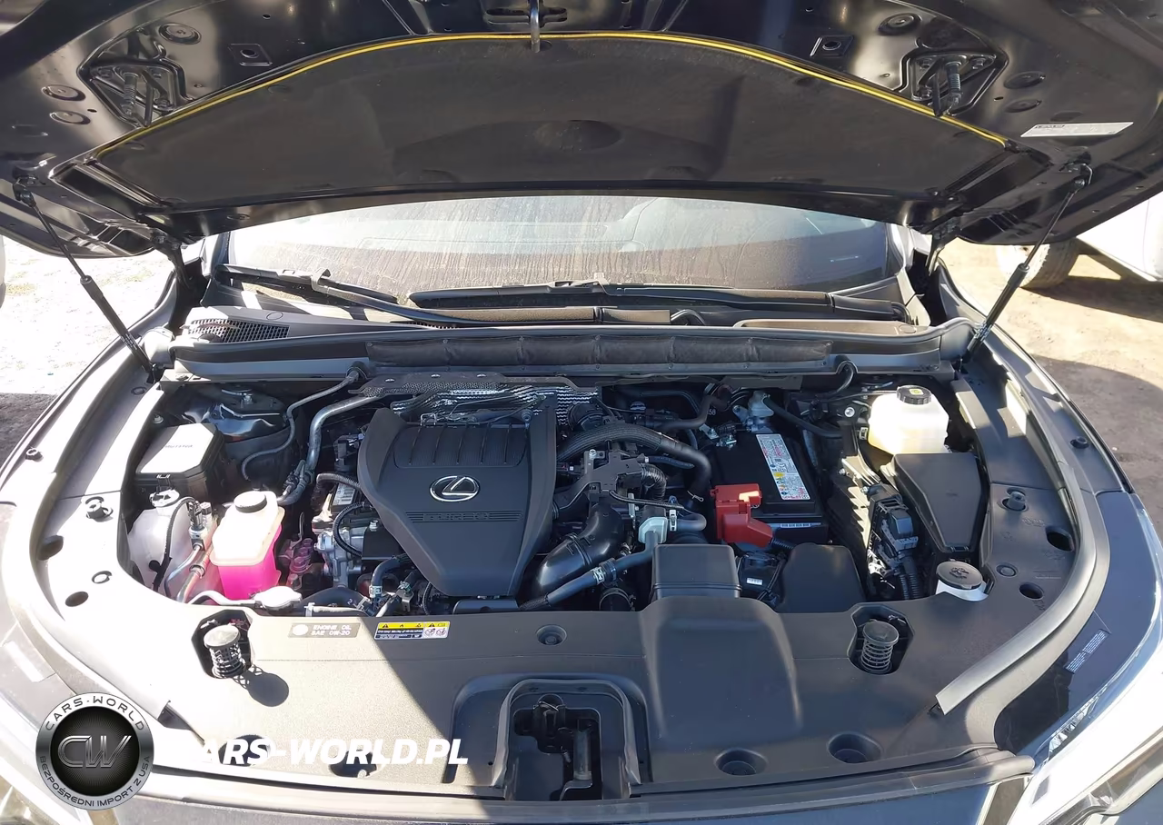 2025 Lexus Rx 350 Premium VIN:JTJCHMAA4S2022012 - 10