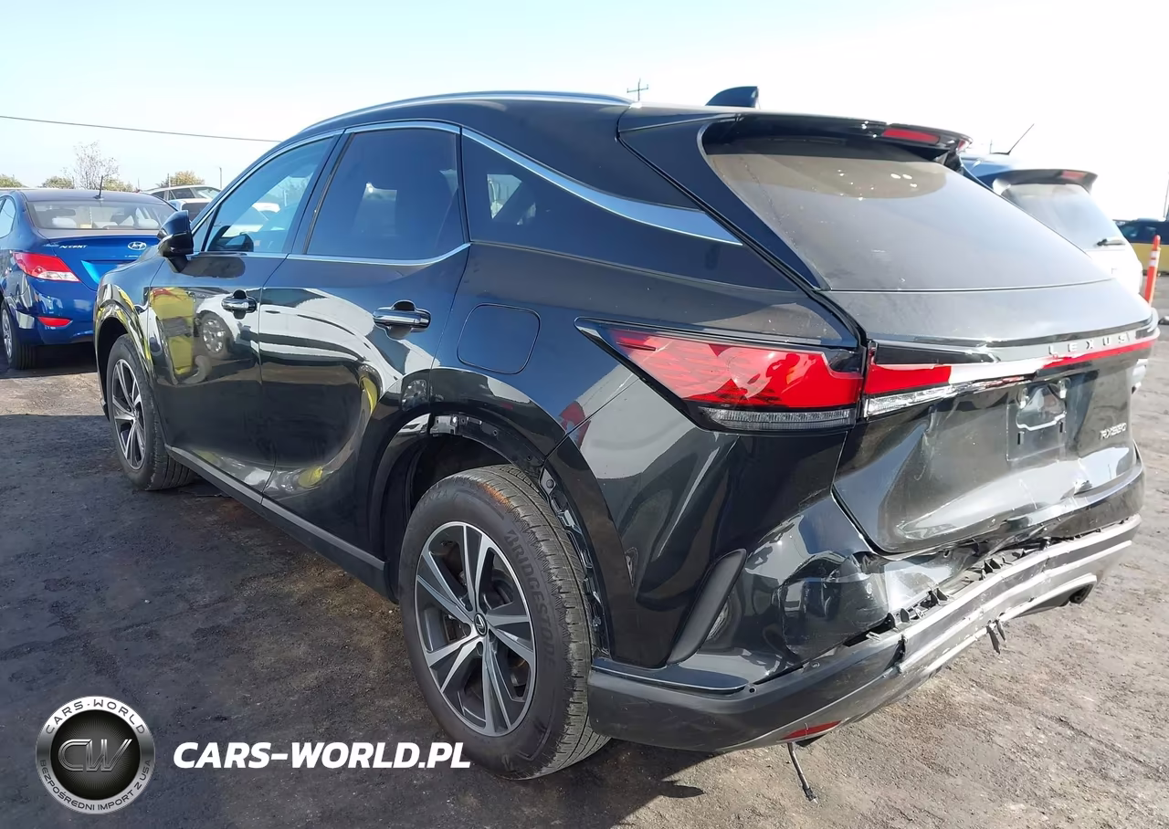 2025 Lexus Rx 350 Premium VIN:JTJCHMAA4S2022012 - 3