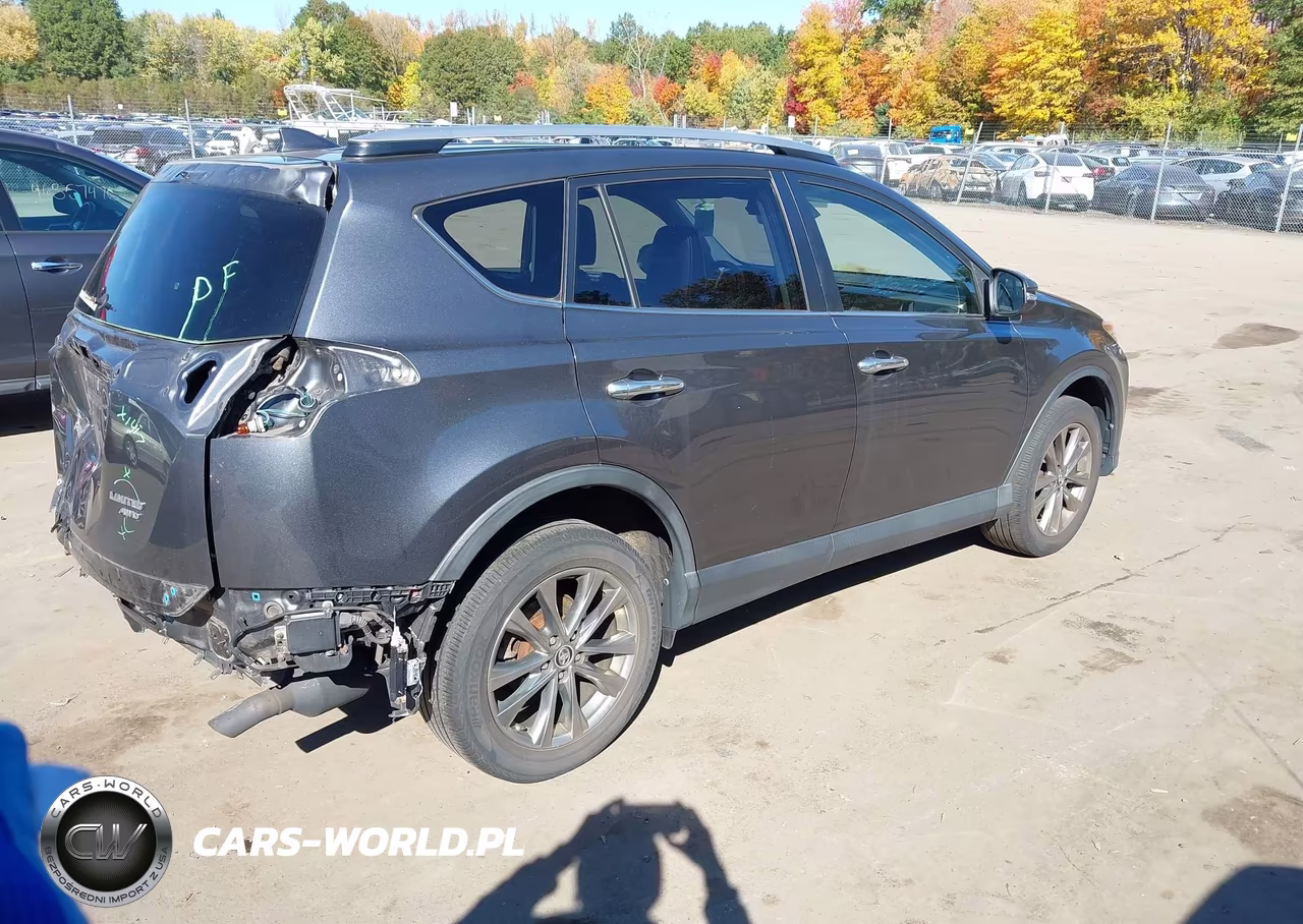 2017 Toyota Rav4 Limited VIN:JTMDFREV3HD208094 - 4