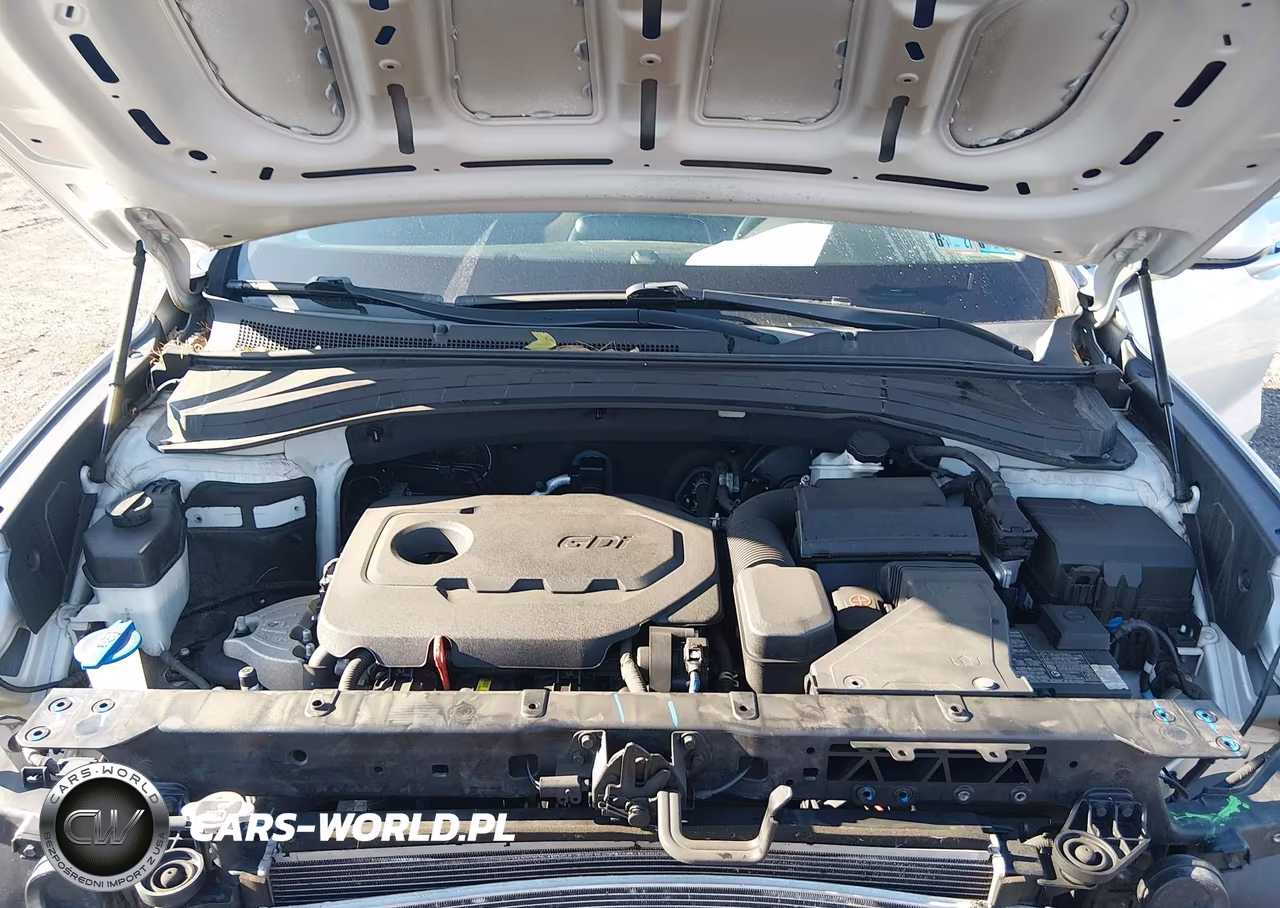 2019 Hyundai Santa Fe Se VIN:5NMS2CAD2KH092611 - 10