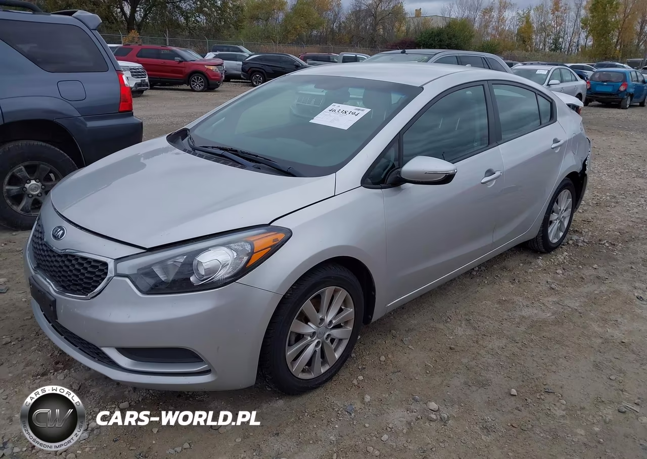 2014 Kia Forte Lx VIN:KNAFX4A64E5226064 - 2