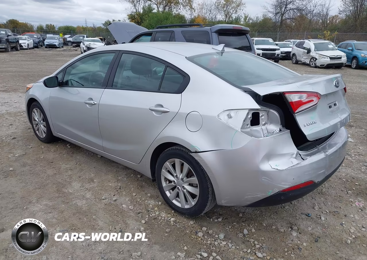 2014 Kia Forte Lx VIN:KNAFX4A64E5226064 - 3