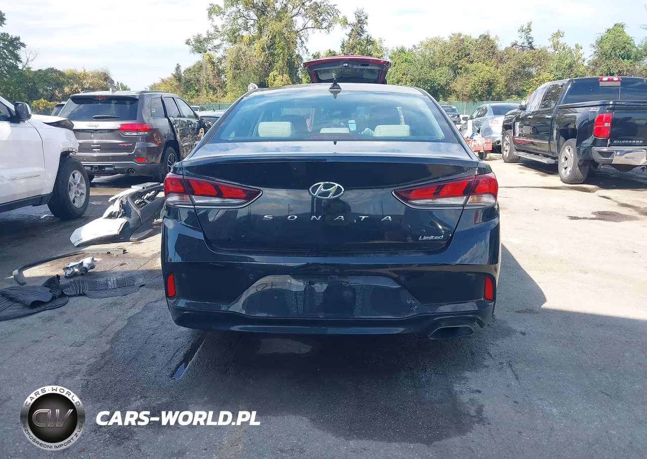 2018 Hyundai Sonata Limited VIN:5NPE34AF2JH669527 - 17