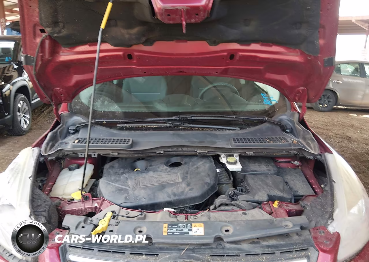 2014 Ford Escape Se VIN:1FMCU0G95EUD94810 - 10