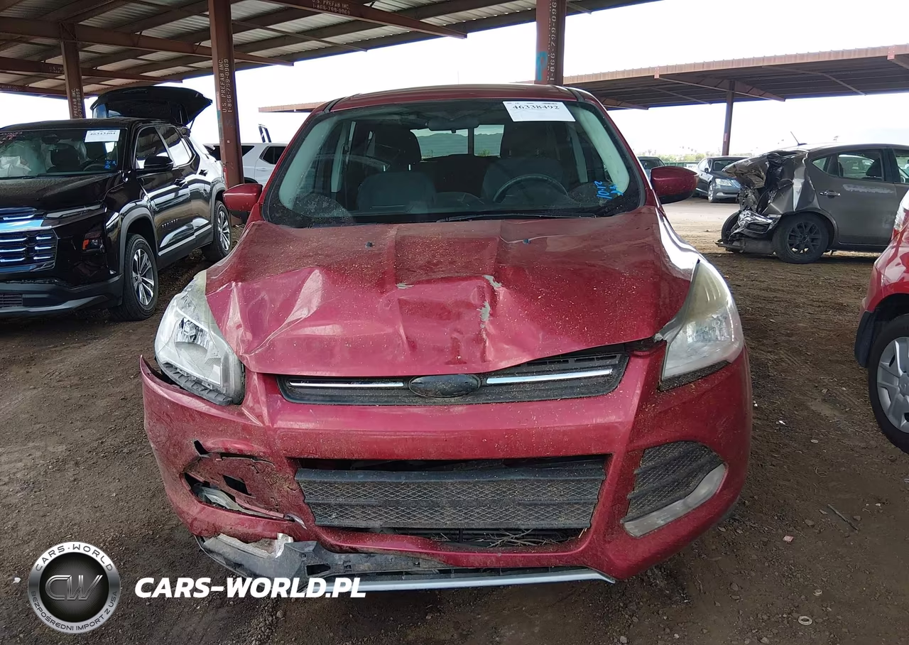 2014 Ford Escape Se VIN:1FMCU0G95EUD94810 - 12
