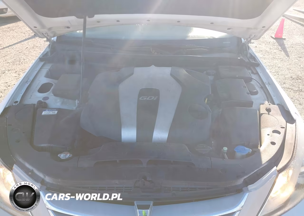 2013 Hyundai Genesis 3.8 VIN:KMHGC4DD1DU208893 - 10