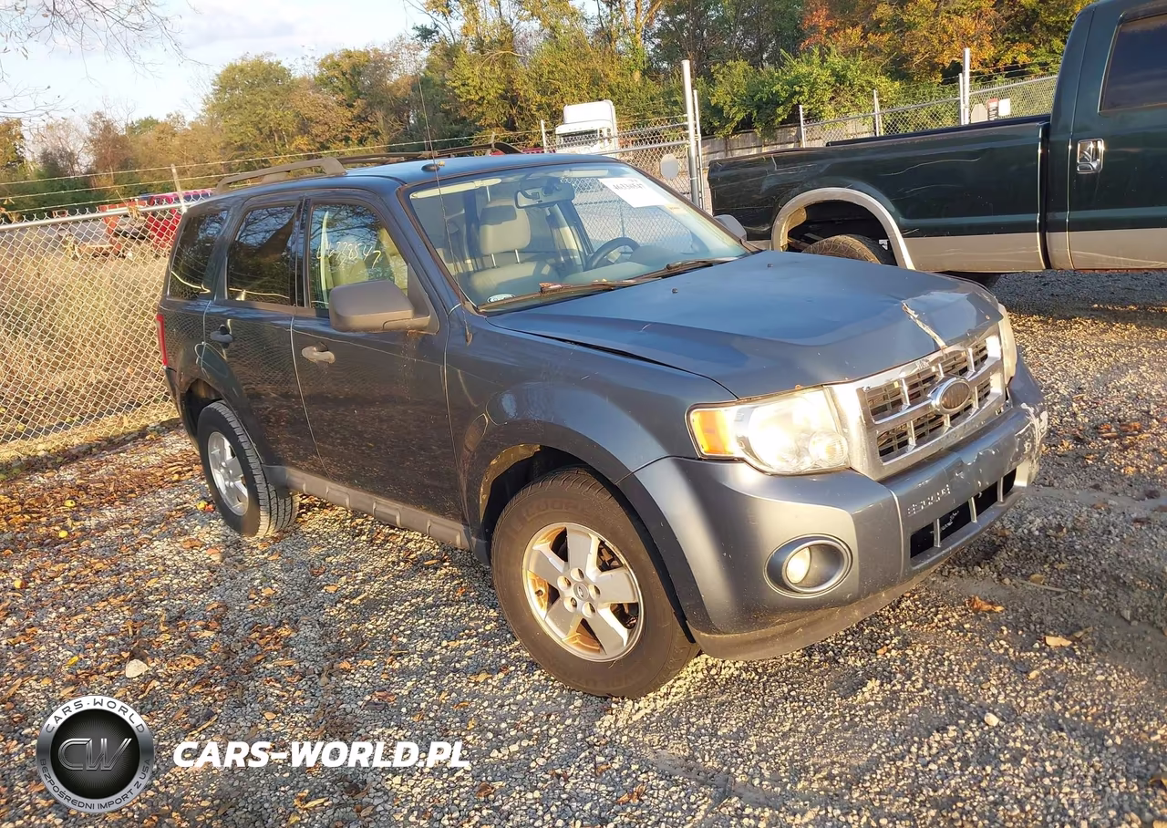 2010 Ford Escape Xlt