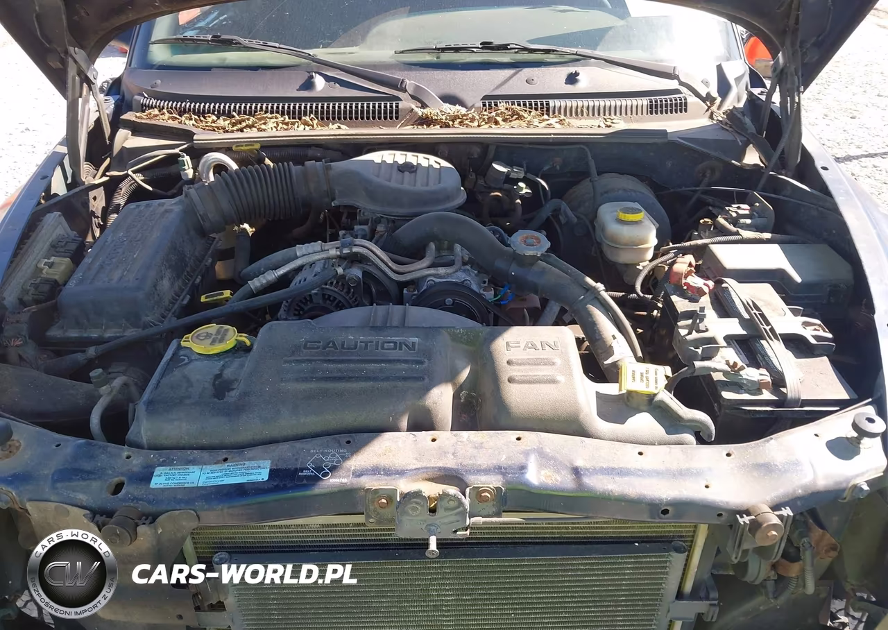 2000 Dodge Dakota Slt-Sport VIN:1B7GG22X3YS713684 - 10
