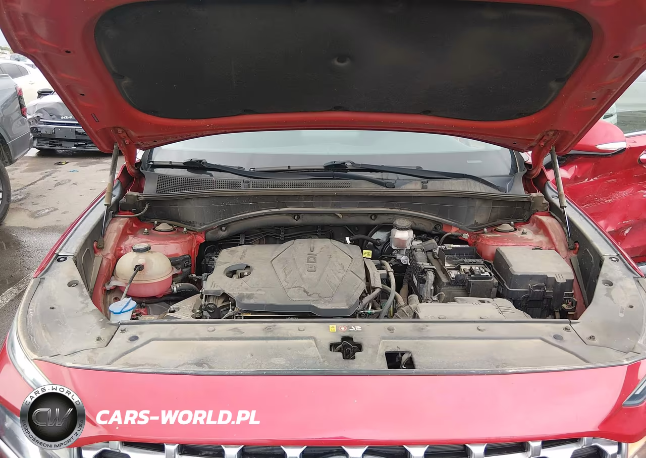 2021 Hyundai Santa Fe Sel VIN:5NMS6DAJ0MH320043 - 10