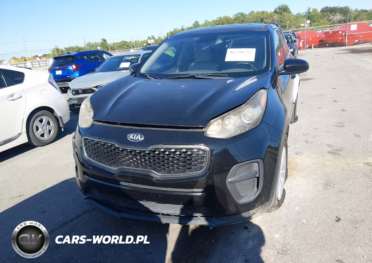 2019 Kia Sportage Lx VIN:KNDPM3AC8K7492848 - 12