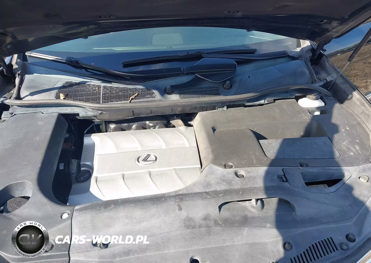 2014 Lexus Rx 350 VIN:2T2ZK1BA5EC146030 - 10