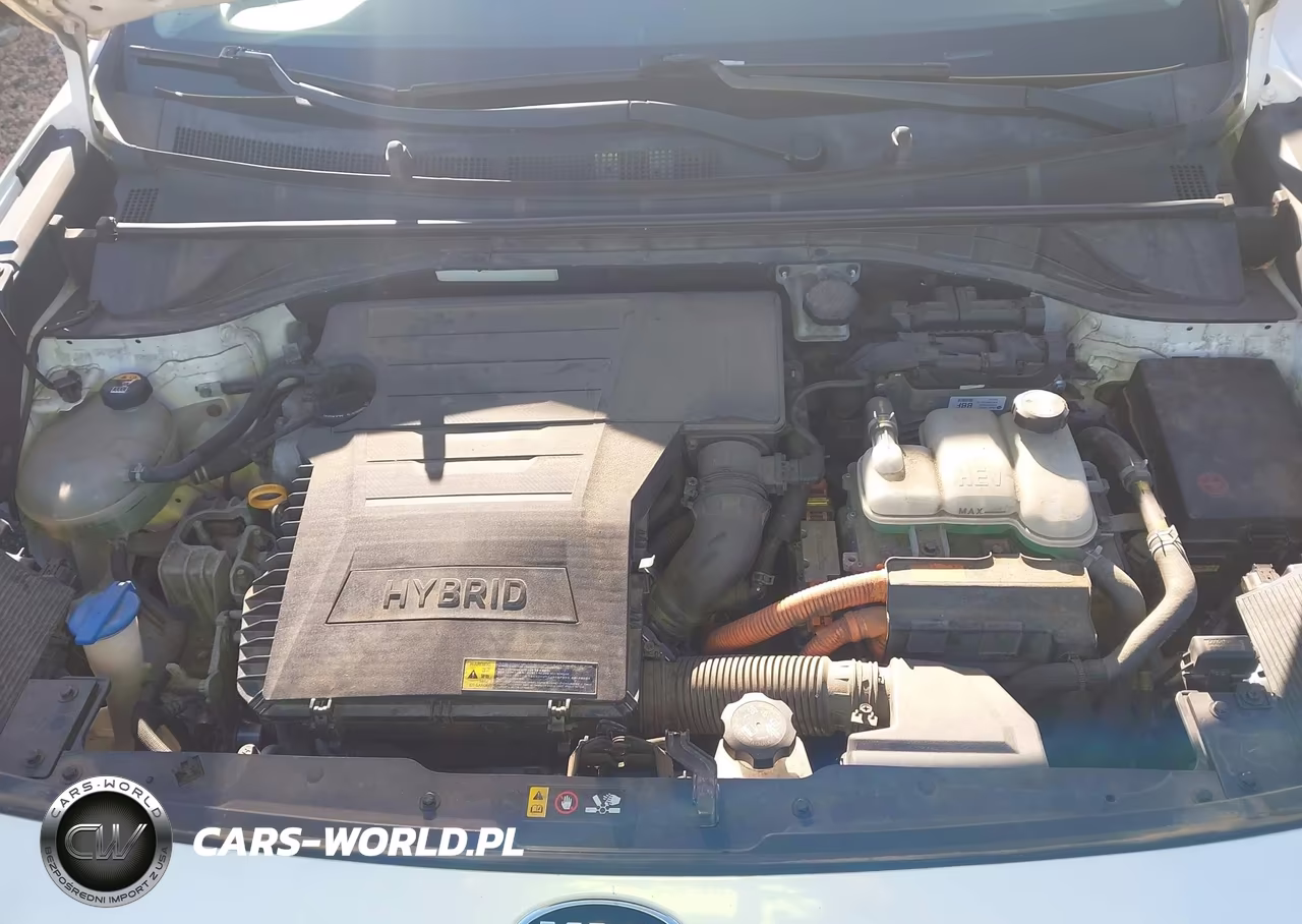 2017 Kia Niro Lx VIN:KNDCB3LCXH5044052 - 10