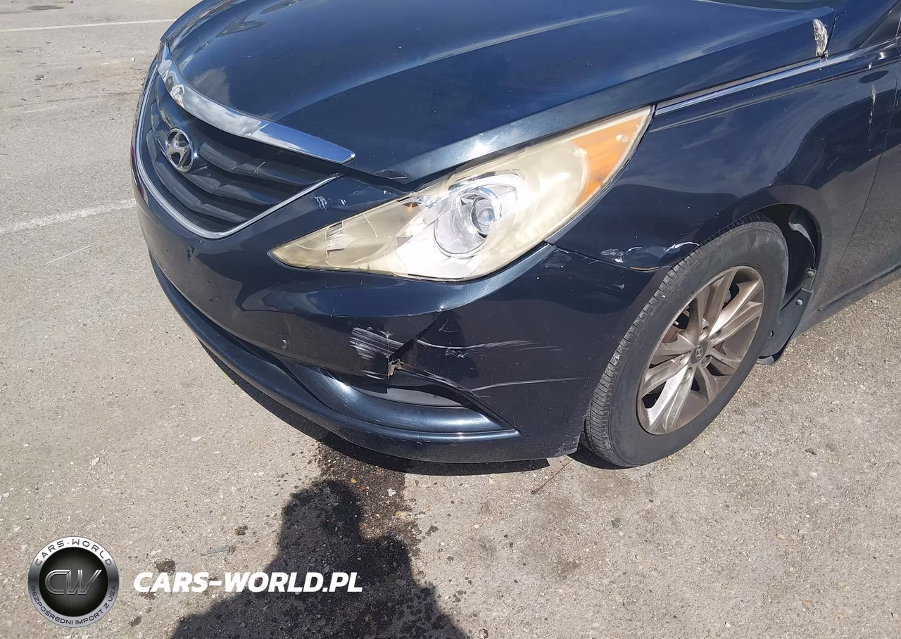 2011 Hyundai Sonata Gls VIN:5NPEB4AC9BH060820 - 6