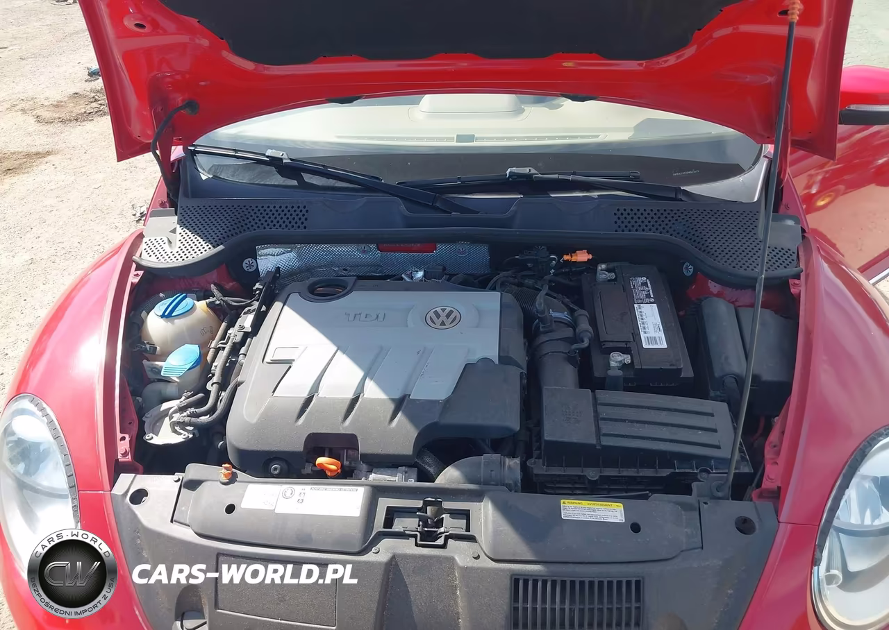 2013 Volkswagen Beetle 2.0L Tdi VIN:3VWJL7AT4DM623019 - 10